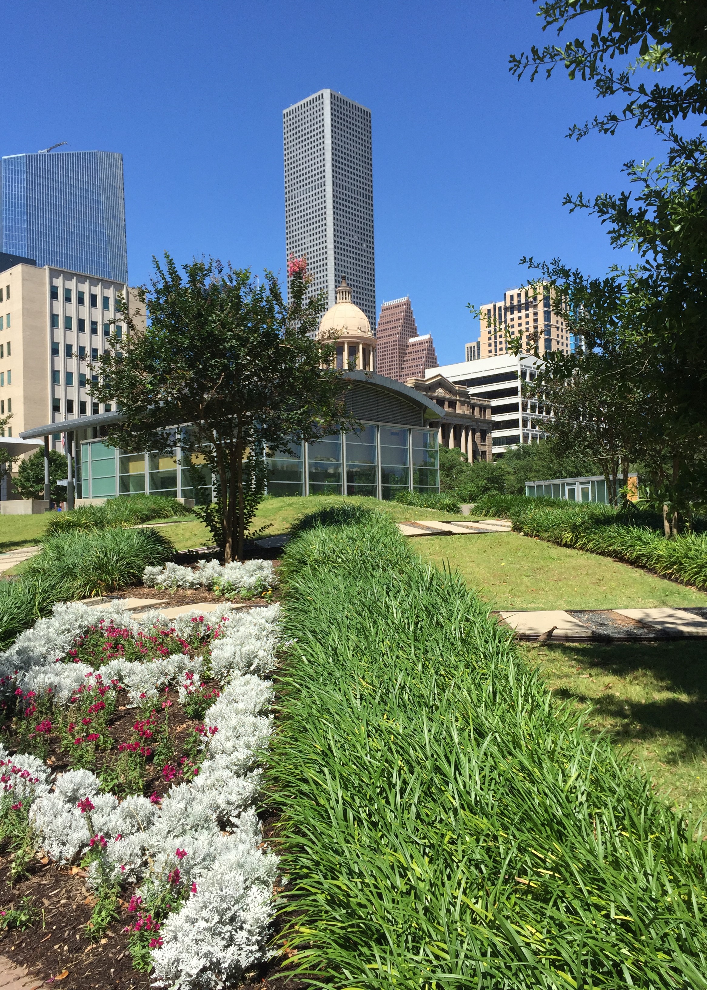 Photo of Buildings